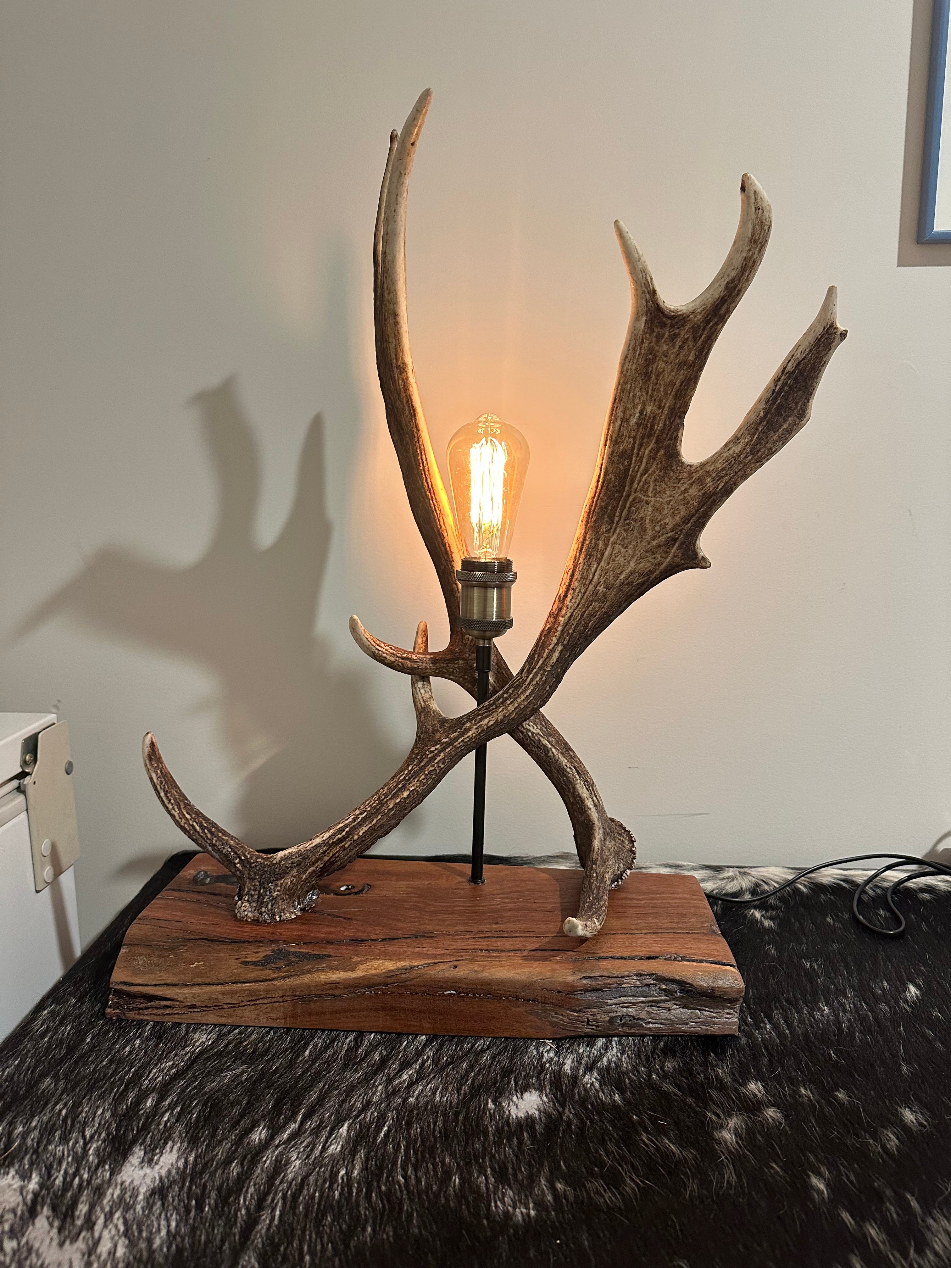 Fallow lamp