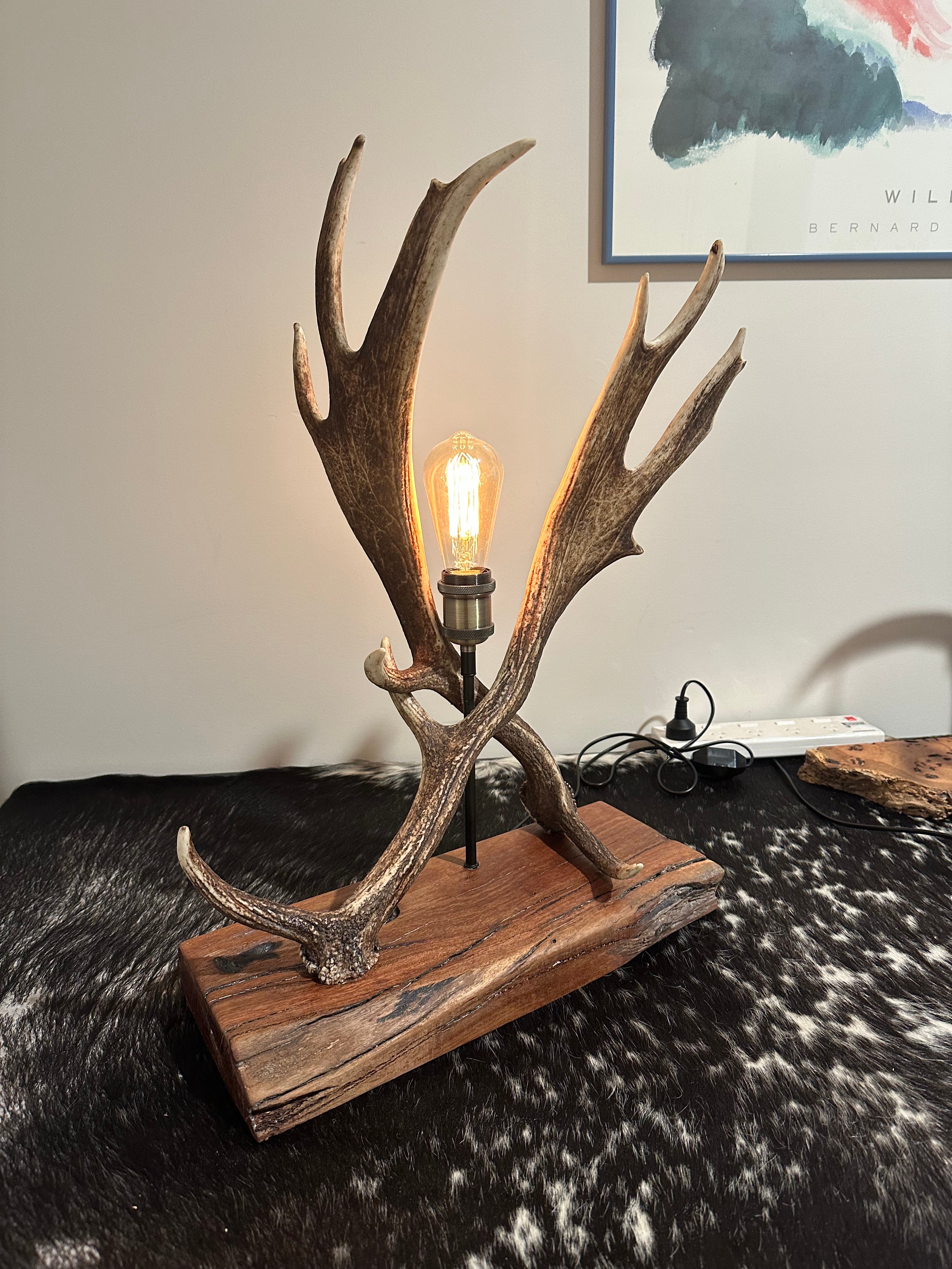 Fallow lamp