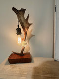 Fallow lamp