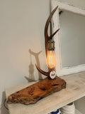 Sambar lamp