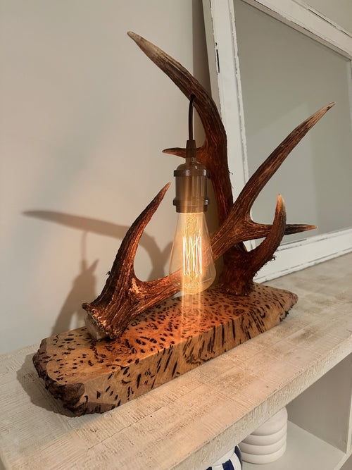 Double Sambar lamp